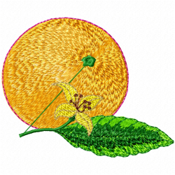 Orange Embroidery Design 7